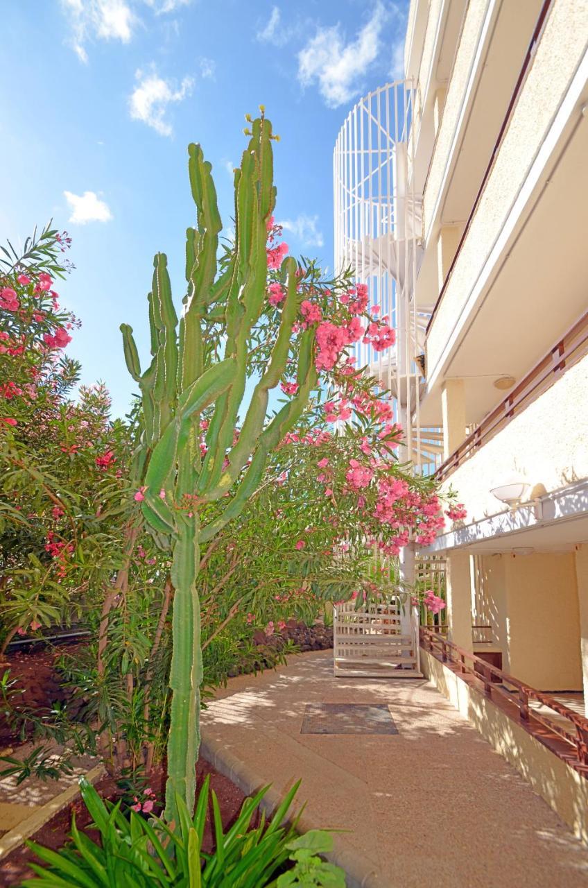 פלאייה דל אינגלז Apartamentos Los Juncos I מראה חיצוני תמונה